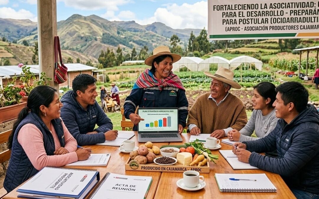 Cómo fortalecer la asociatividad de tu organización antes de postular