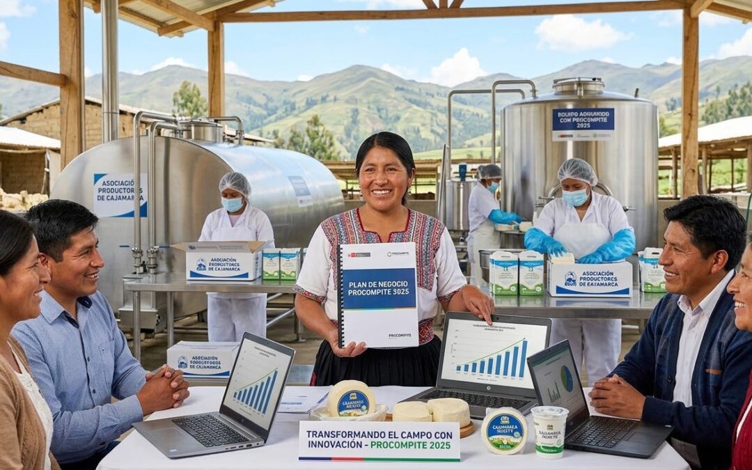 Cómo elaborar un Plan de Negocio PROCOMPITE paso a paso en 2025